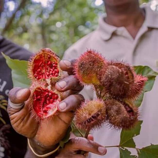 ZANZIBAR: Spice Farm and mangrove kayaking experience - Who Will Enjoy This Tour?