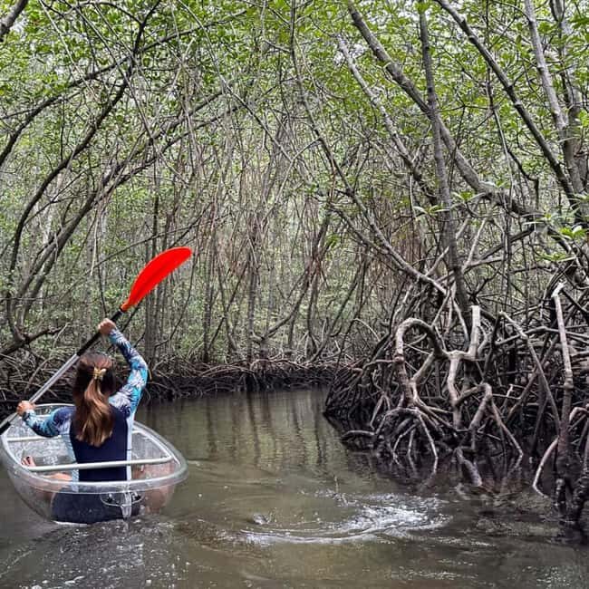 ZANZIBAR: Spice Farm and mangrove kayaking experience - FAQ