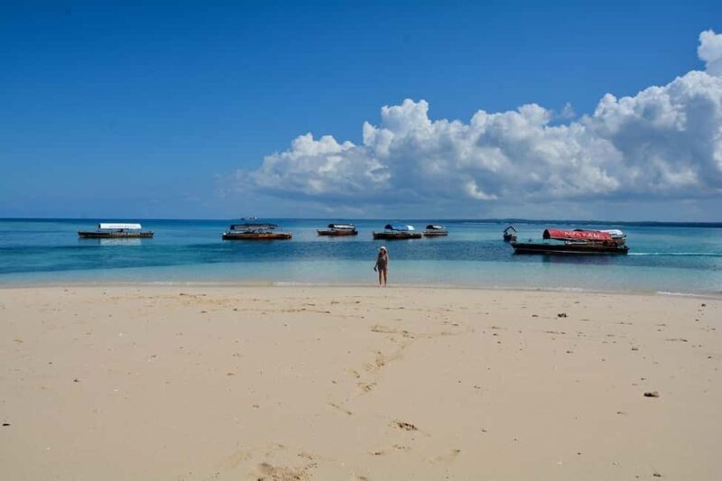 Zanzibar - Spice Farm and Nakupenda Island Tour with Lunch - Key Points