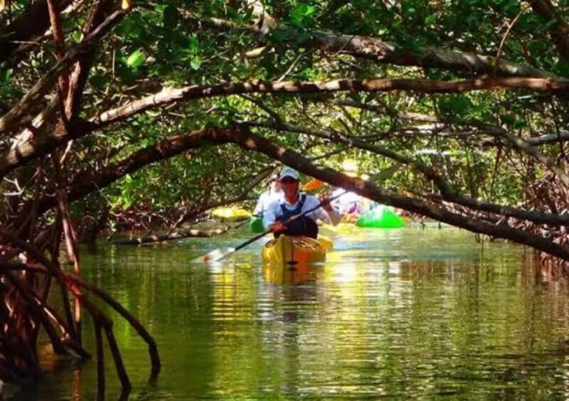 Zanzibar: Spice Farm, Butterfly Sanctuary, and Mangrove Tour - Introduction to the Tour