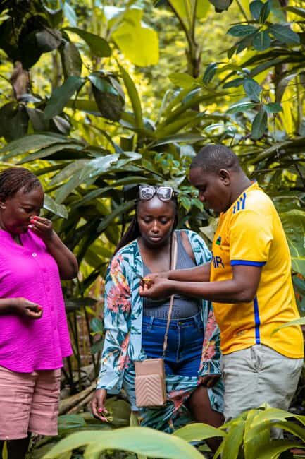 Zanzibar: Spice Farm Guided Tour with Lunch - FAQ