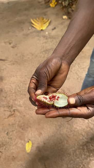 Zanzibar: Spice farm, Prison Island & Nakupenda with Lunch - Practical Tips for Travelers