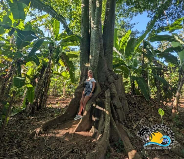 Zanzibar: Spice Farm Tour and Cooking Class with Lunch - FAQ