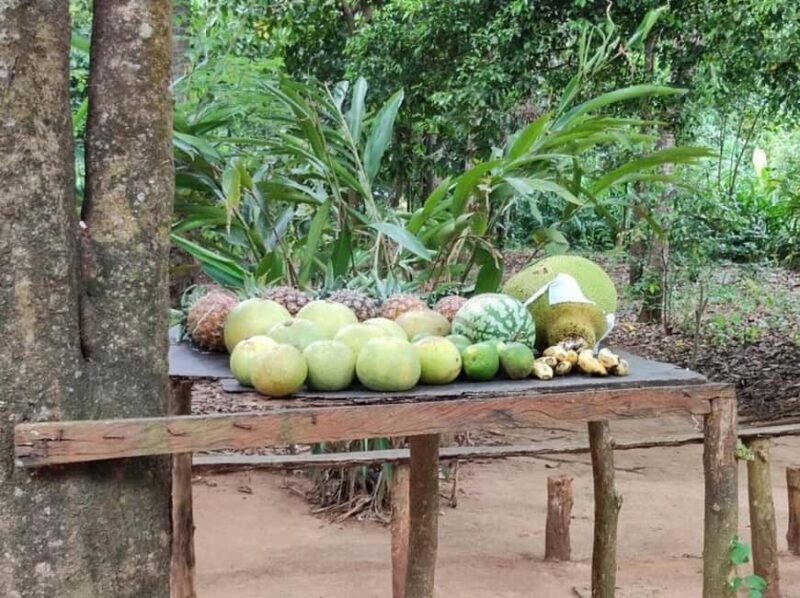 Zanzibar: Spice Farm Tour and Prison Island with Boat Ride - FAQ