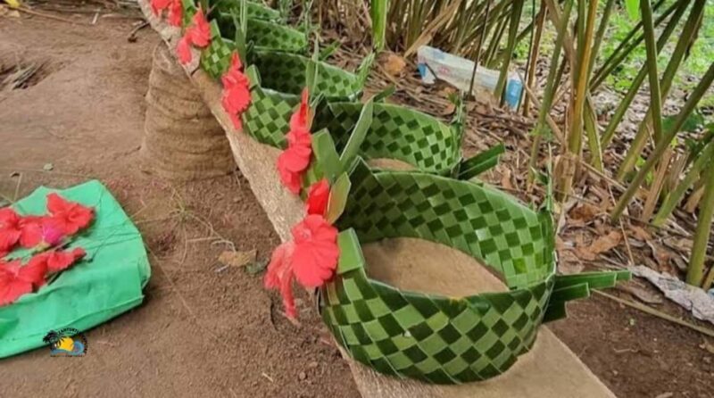 Zanzibar: Spice Farm Tour with Cooking Lesson | Half day - An In-Depth Look at the Zanzibar Spice Farm Tour