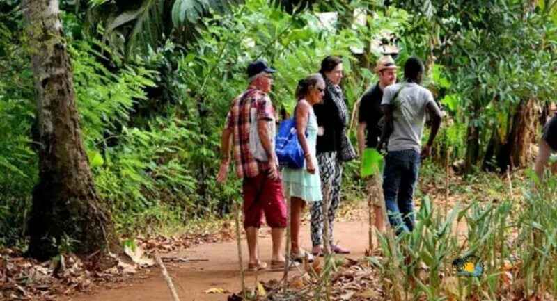 Zanzibar: Spice Farm Tour with Cooking lesson - A Deep Dive into the Spice Farm Experience