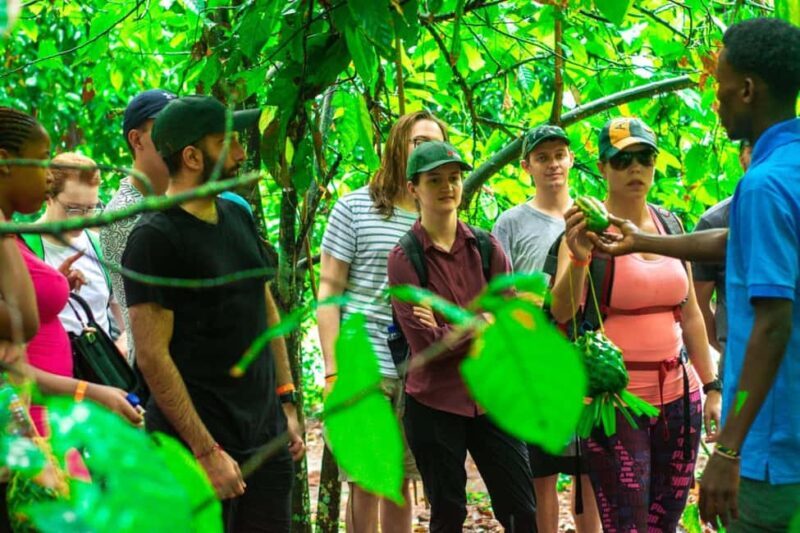 Zanzibar: Spice Farm Tour with Lunch & Tropical Fruits - Key Points