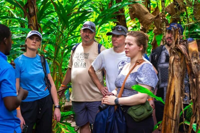 Zanzibar: Spice Farm Tour with Lunch & Tropical Fruits - A Balanced Look at the Experience
