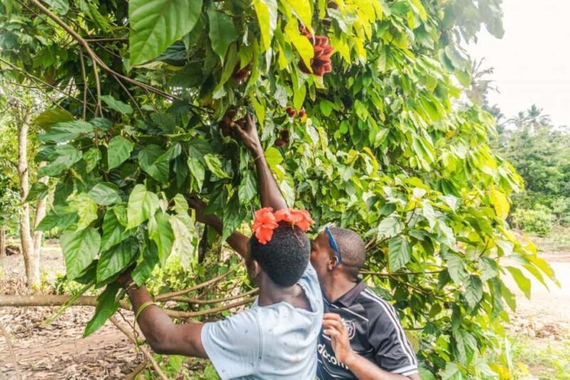 Zanzibar: Spice farm tour with Zanzibar fruits tasting - Final Thoughts