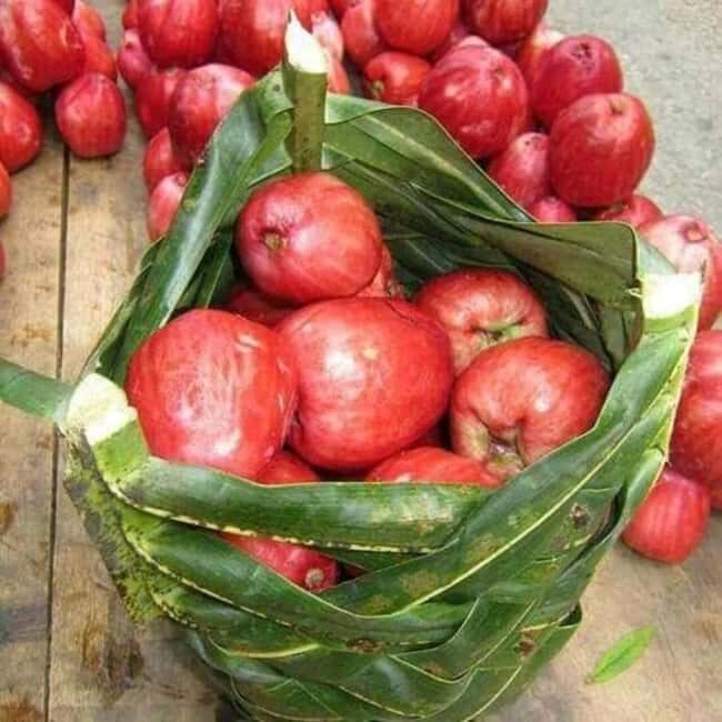 Zanzibar: Spice Farm with Local Guide and Tasting Delights - Key Points