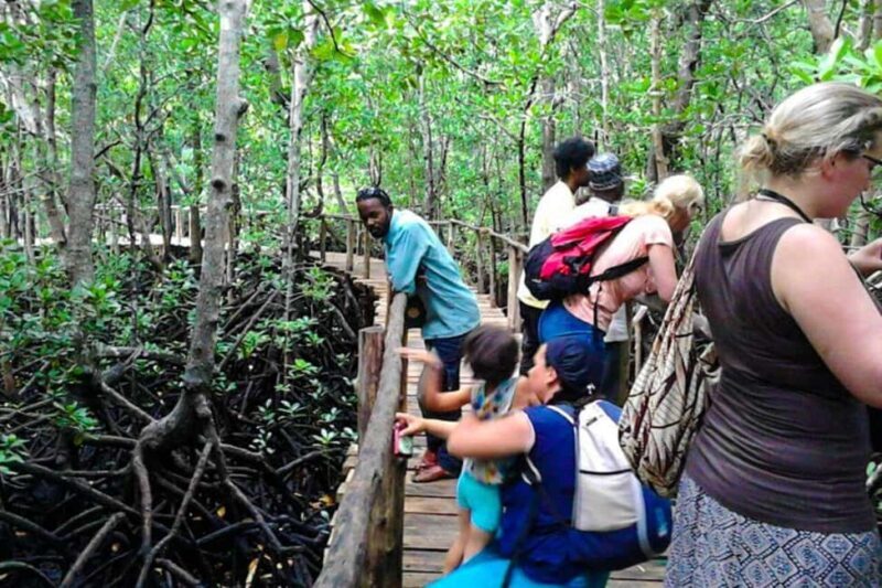 Zanzibar: spice farm,Stone Town and Salaam Cave Tour - Who Will Love This Tour?