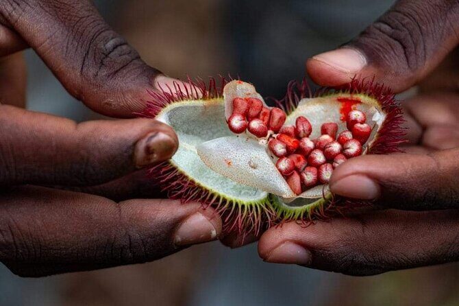Zanzibar Spice tour - An In-Depth Look at the Zanzibar Spice Tour