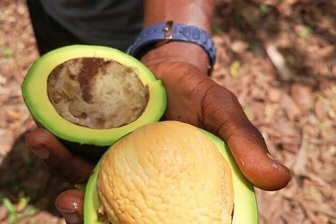 Zanzibar Spice tour - FAQ: Your Practical Questions Answered
