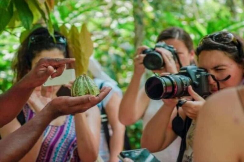 Zanzibar: Spice Tour, Stone Town, and Sea Turtle Sanctuary - Key Points