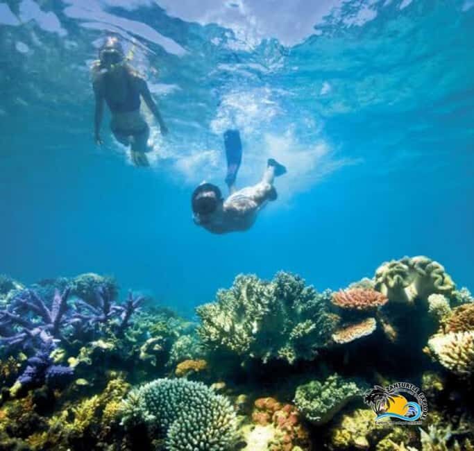 Zanzibar: Starfish Beach, Blue Lagoon, and The Rock Tour - Key Points
