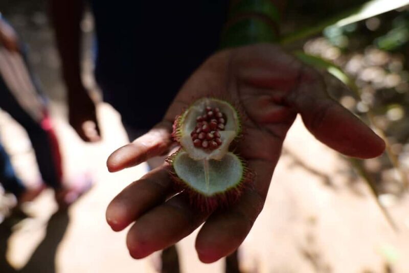 Zanzibar: Stone Town and Spice Farm Guided Tour - Who Should Consider This Tour?