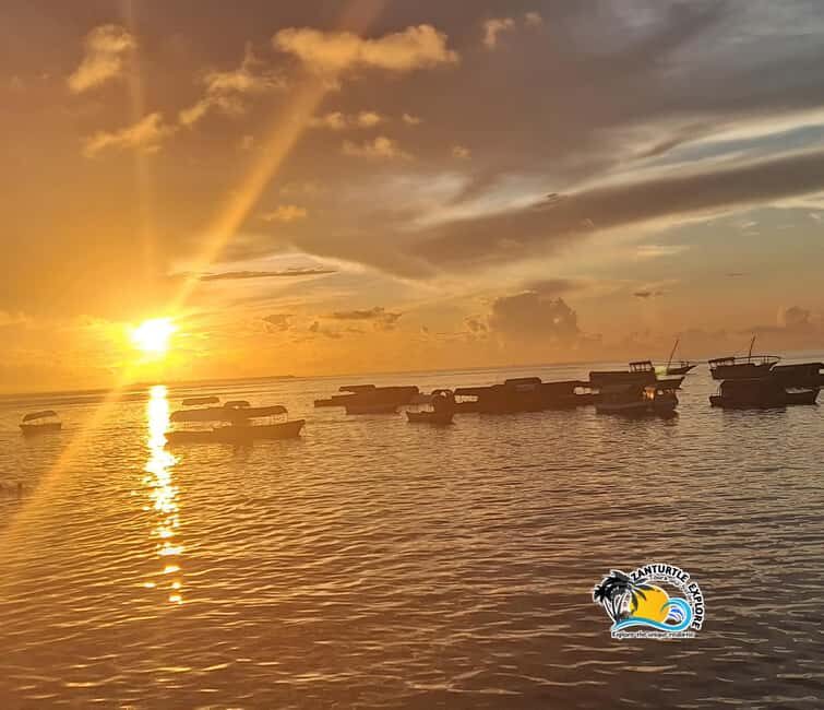 Zanzibar: Stone Town Evening Food Market Tour - Final Thoughts