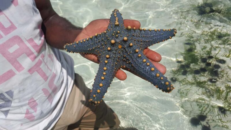 Zanzibar: Stone Town & Prison Island, Blue Safari, Sunset in the North - Sunset in Kendwa and Northern Beaches