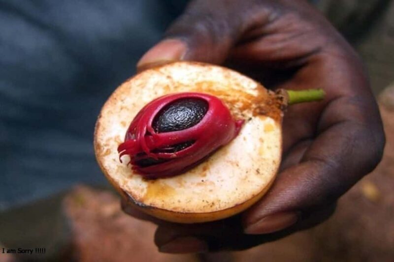 Zanzibar: Stone Town, Spice Farm & Prison Island Adventure - FAQ