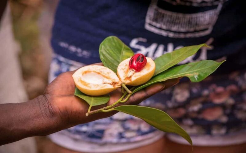 Zanzibar: Stone Town Tour, and Spice Tour Visit - Key Points