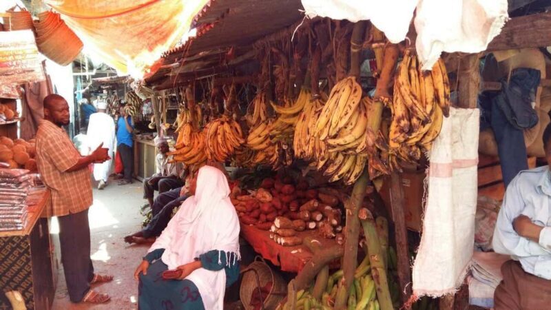 Zanzibar: Stone Town Tour & Spice Tour with Lunch - Introduction