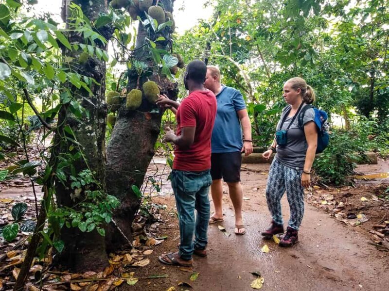 Zanzibar: Stone Town Tour & Spice Tour with Lunch - The Spice Farm Experience