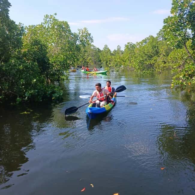 Zanzibar: Stone Town Visit & Kayak Tour in Mangrove Forest - Key Points