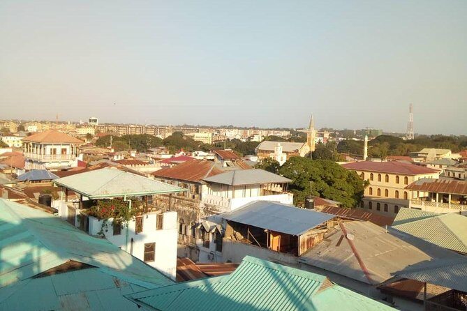 Zanzibar Stone Town Walking Tour - Practicalities and Comfort