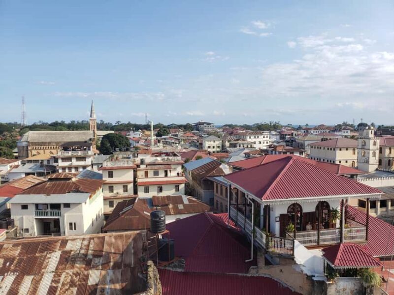 Zanzibar: Stone Town Walking Tour With Heritage Tour Guide - A Deep Dive into the Zanzibar Stone Town Walking Tour