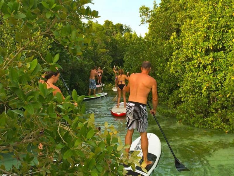 Zanzibar: SUP Tour and Lunch Stop at The Rock Restaurant - What Travelers Are Saying