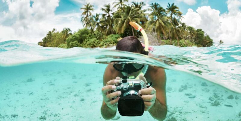 Zanzibar : Swim with dolphin + Snorkel mnemba coral Reef - What to Expect from the Tour