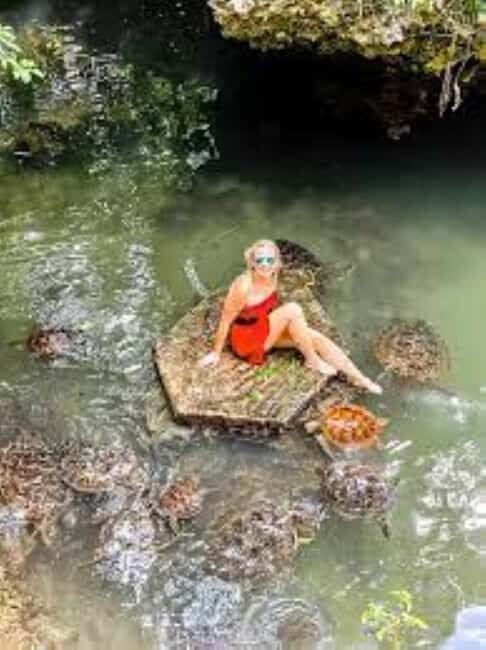 Zanzibar: Swim with Sea Turtles at Baraka or Salaam Aquarium - What Do Travelers Say?