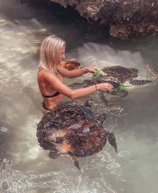 Zanzibar: Swim with turtles at Nungwi - Detailed Breakdown of the Itinerary