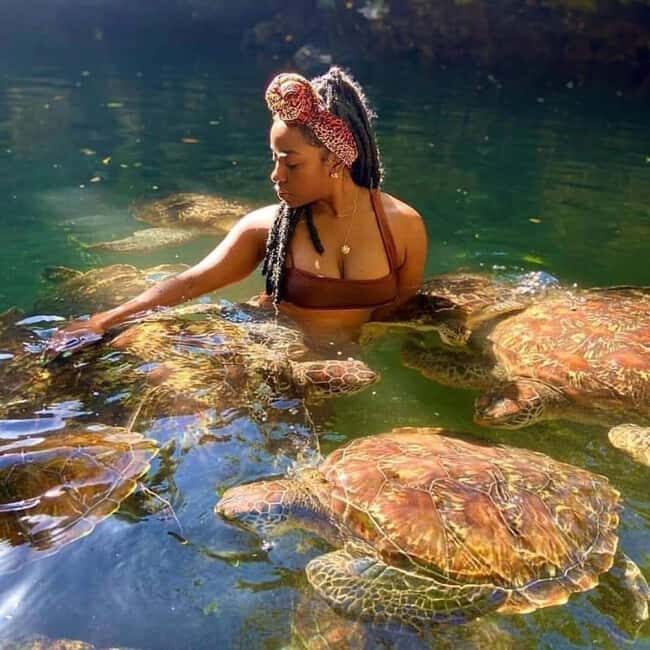 Zanzibar: Swim with turtles at Nungwi - Why This Tour Offers Good Value