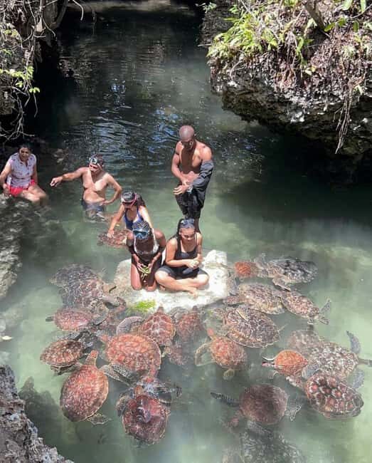 Zanzibar: Swim with turtles at Nungwi - Final Thoughts on the Experience