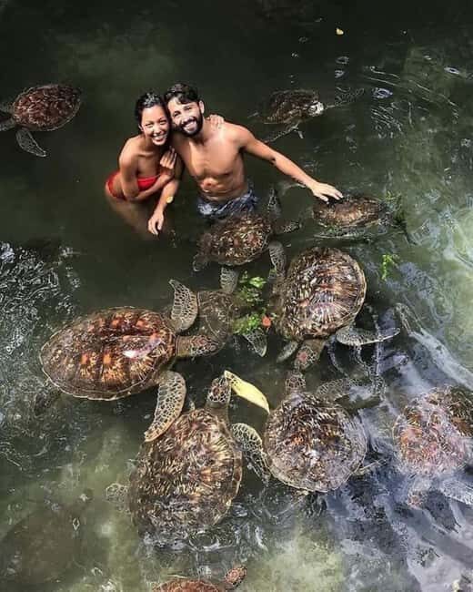 Zanzibar: Swim with turtles at Nungwi - FAQs