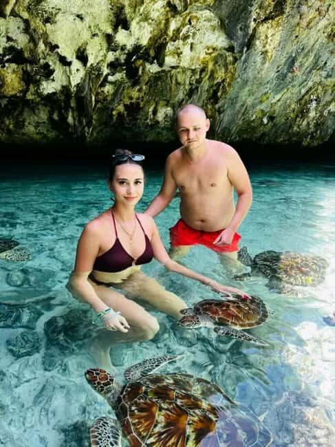 ZANZIBAR : Swimming with sea turtle at kizimkazi - FAQs