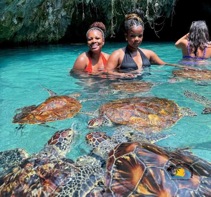 Zanzibar: Swimming with Turtles at Salaam Cave Aquarium - Key Points
