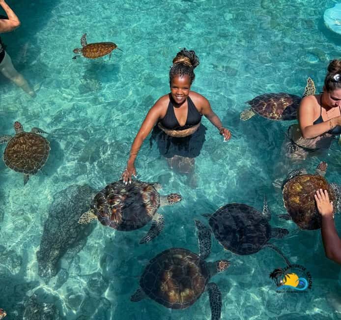 Zanzibar: Swimming with Turtles at Salaam Cave Aquarium - A Practical Guide to the Salaam Cave Turtle Tour