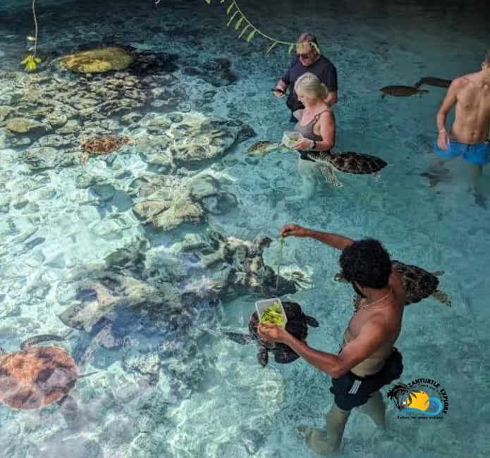 Zanzibar: Swimming with Turtles at Salaam Cave Aquarium - Authentic Perspectives from Travelers