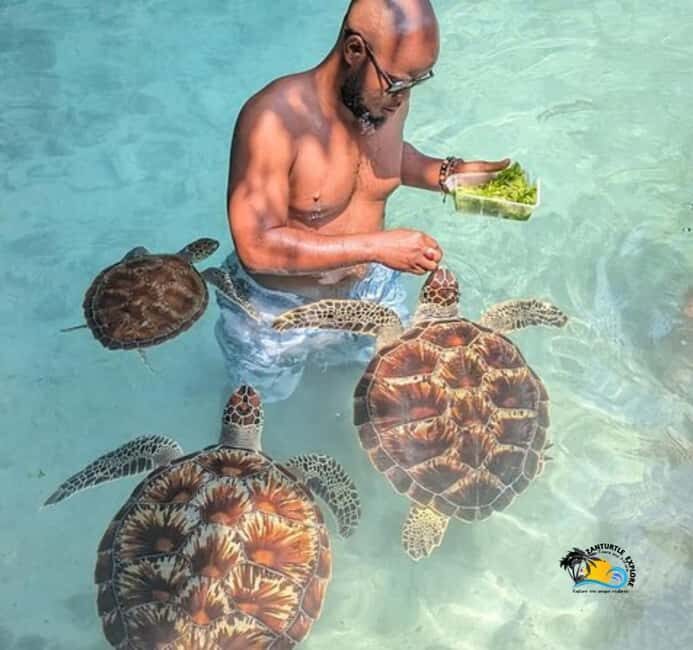 Zanzibar: Swimming with Turtles at Salaam Cave Aquarium - Who Is This Tour Best For?