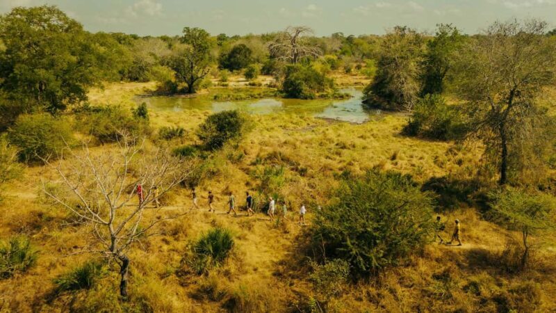 Zanzibar & Tanzania: 13 Days Beach & Safari Adventure Tour - Transportation & Logistics