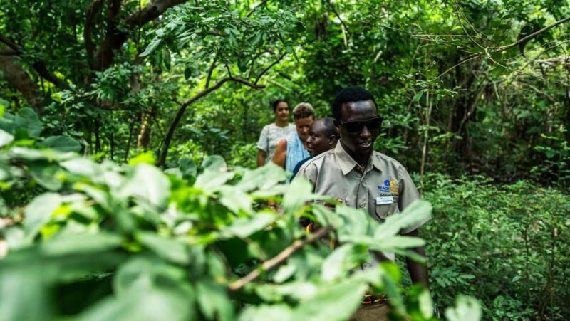 Zanzibar & Tanzania: 13 Days Beach & Safari Adventure Tour - FAQ