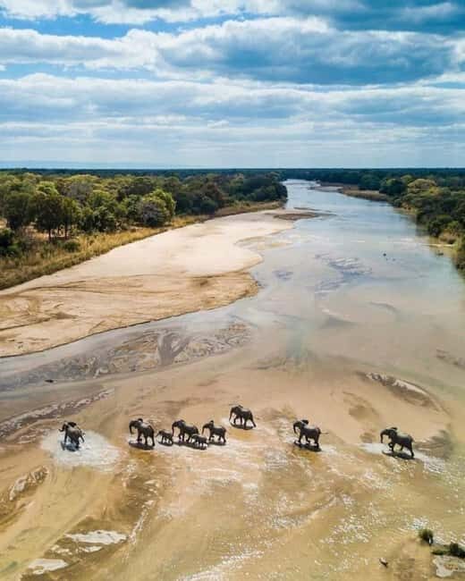 Zanzibar: Tarangire National Park and Ngorongoro Crater Tour - A Closer Look at the Itinerary