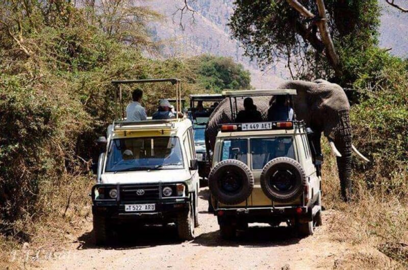 Zanzibar: Tarangire National Park and Ngorongoro Crater Tour - What’s Not Included
