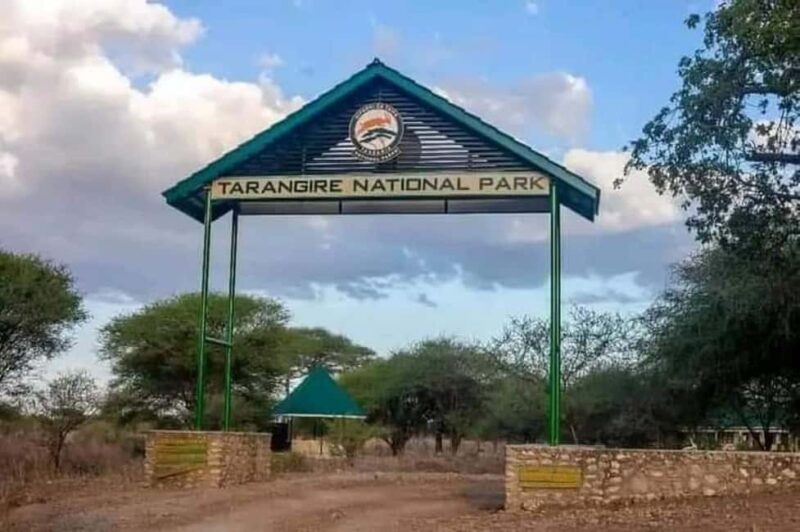 Zanzibar: Tarangire National Park and Ngorongoro Crater Tour - Practical Tips for Travelers