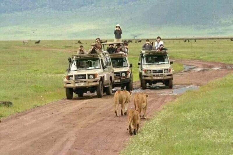 Zanzibar: Tarangire National Park and Ngorongoro Crater Tour - Final Thoughts