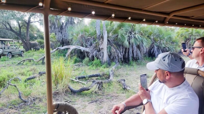 Zanzibar: The 2 Days & 3 Safari Nyerere National park/Selous - Who Should Consider This Safari?