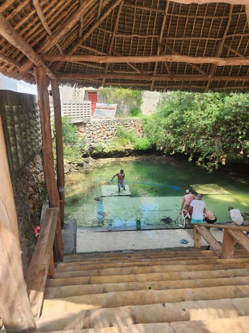 Zanzibar: The Lagoon Aquarium and Sunset dhow cruise - Key Points