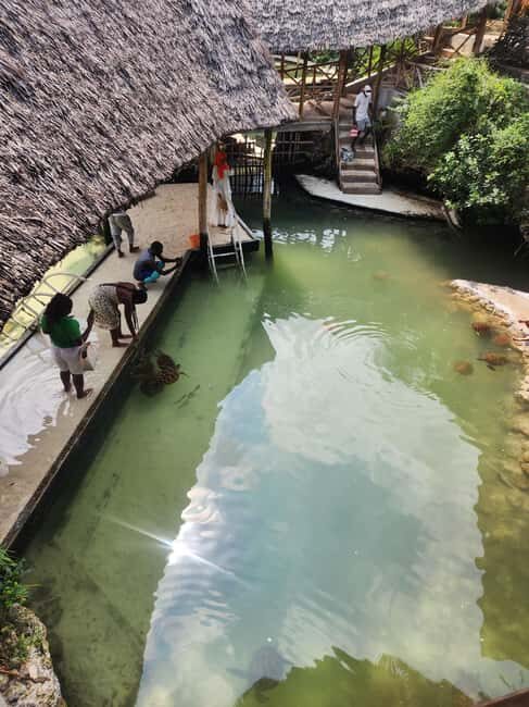Zanzibar: The Lagoon Aquarium and Sunset dhow cruise - Why This Tour Is Worth Considering